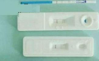 Тесты на беременность Evitest Plus - «Тест на беременность Evitest Plus подтверждает беременность не хуже анализа крови на ХГЧ